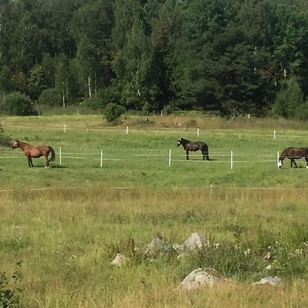 Egen Laegenhet I 2-Familjshus Pa Landet. Villa Tierp Eksteriør billede