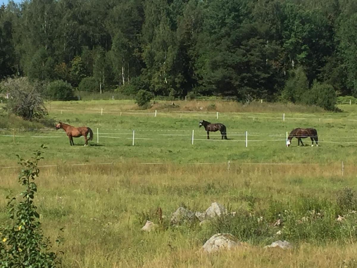 Egen Laegenhet I 2-Familjshus Pa Landet. Villa Tierp Eksteriør billede